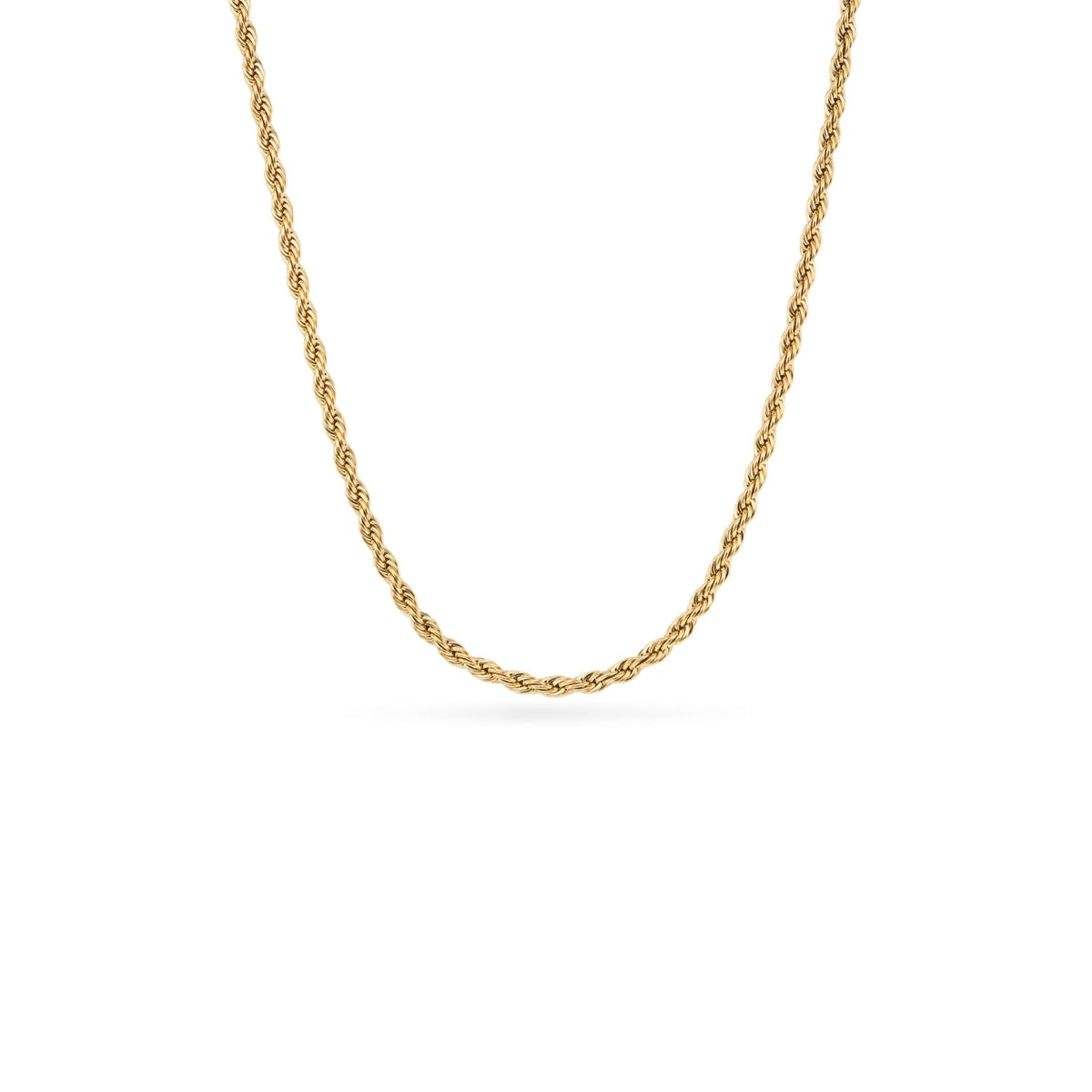 Murphys Sketches x Abbott Lyon Custom Robin Coin Necklace (Gold)