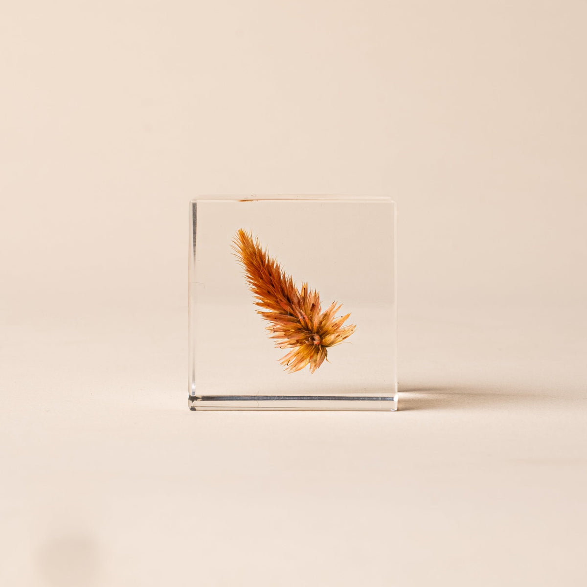 Sola Cube