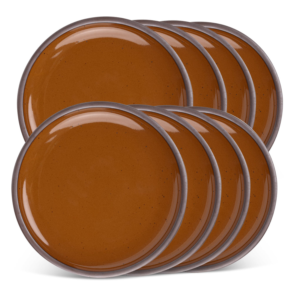 Dinner Plate 8-Pack