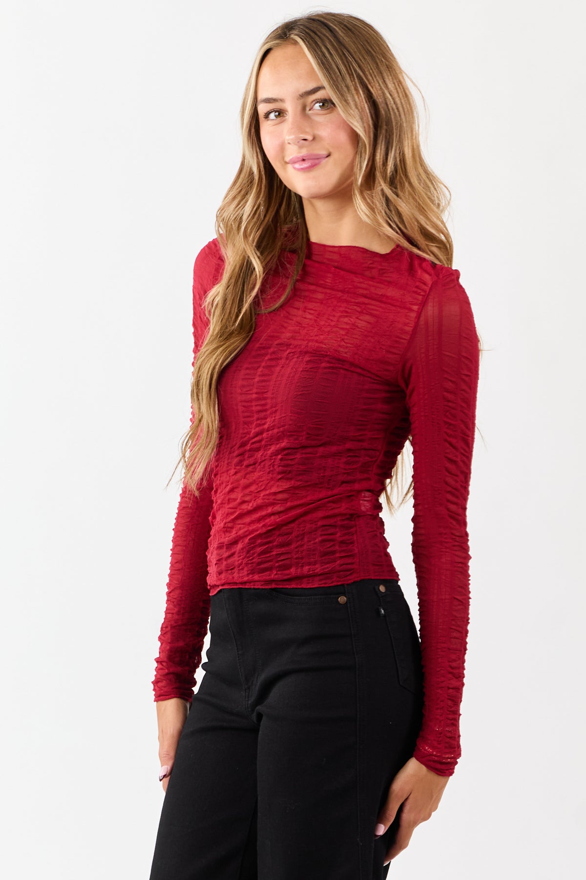 Cranberry Sheer Mesh Textured Long Sleeve Top