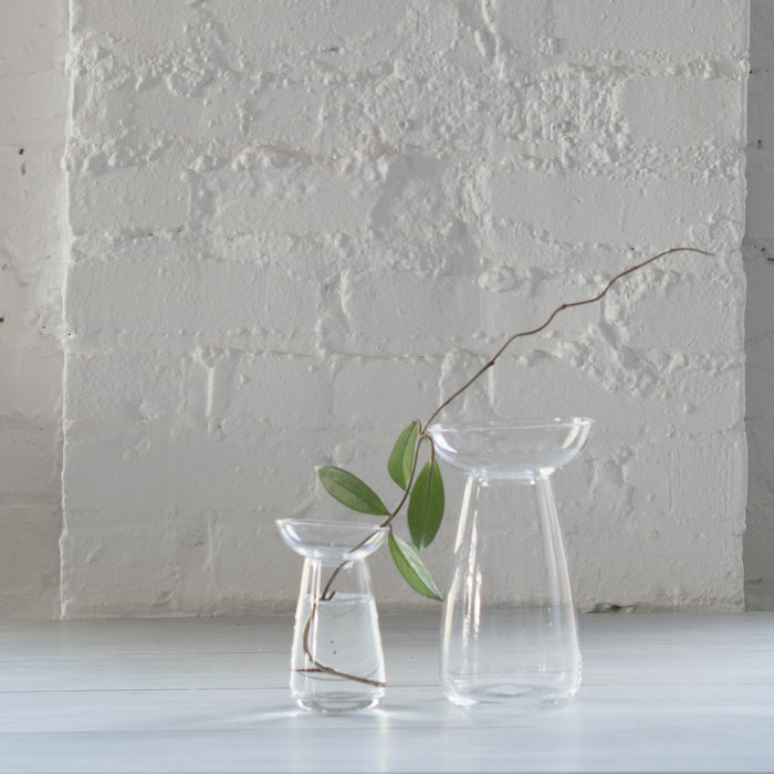 Two clear glass Aqua Culture Hydroponic Vases with water and a leafy plant, placed on a tile surface.