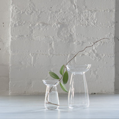 Two clear glass Aqua Culture Hydroponic Vases with water and a leafy plant, placed on a tile surface.