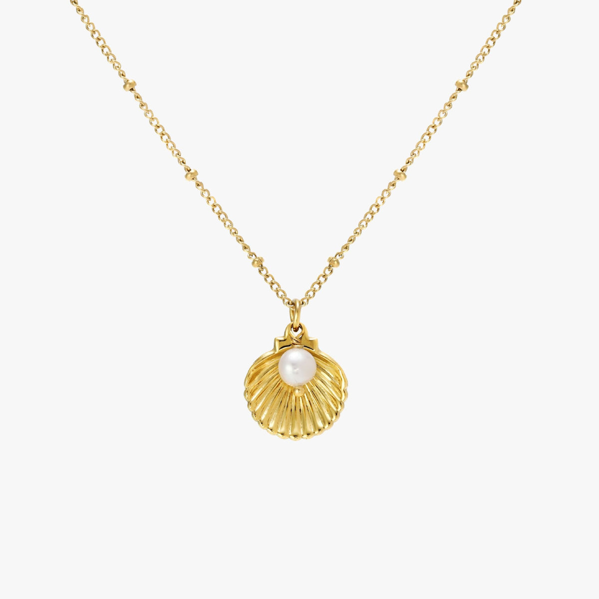 Seashell Necklace