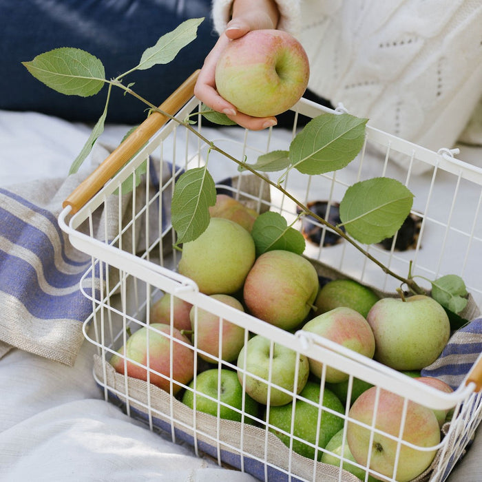 Tosca Wire Basket